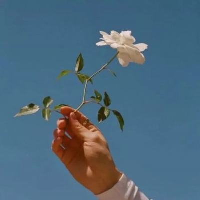 疯狂炸弹人游戏下载
